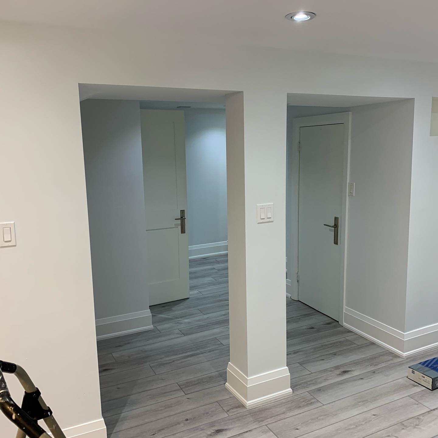 Finished basement layout with new flooring, interior doors, trim, and lighting